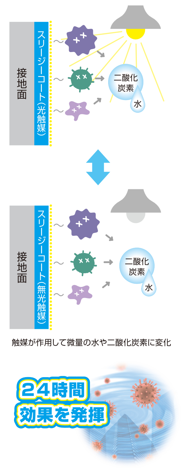 触媒が作用して微量の水や二酸化炭素に変化、菌ウイルスを不活性化します。